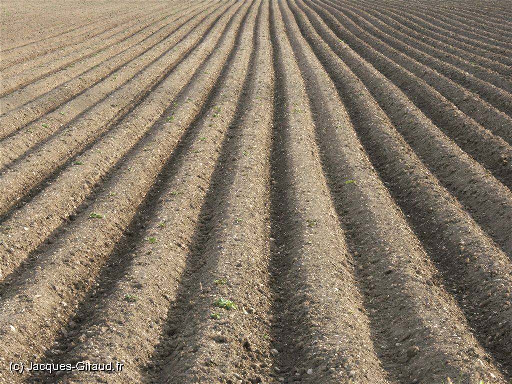 2005-05-08 18-17-04 Mai 119,0mm 1_50_eme F10,0.JPG